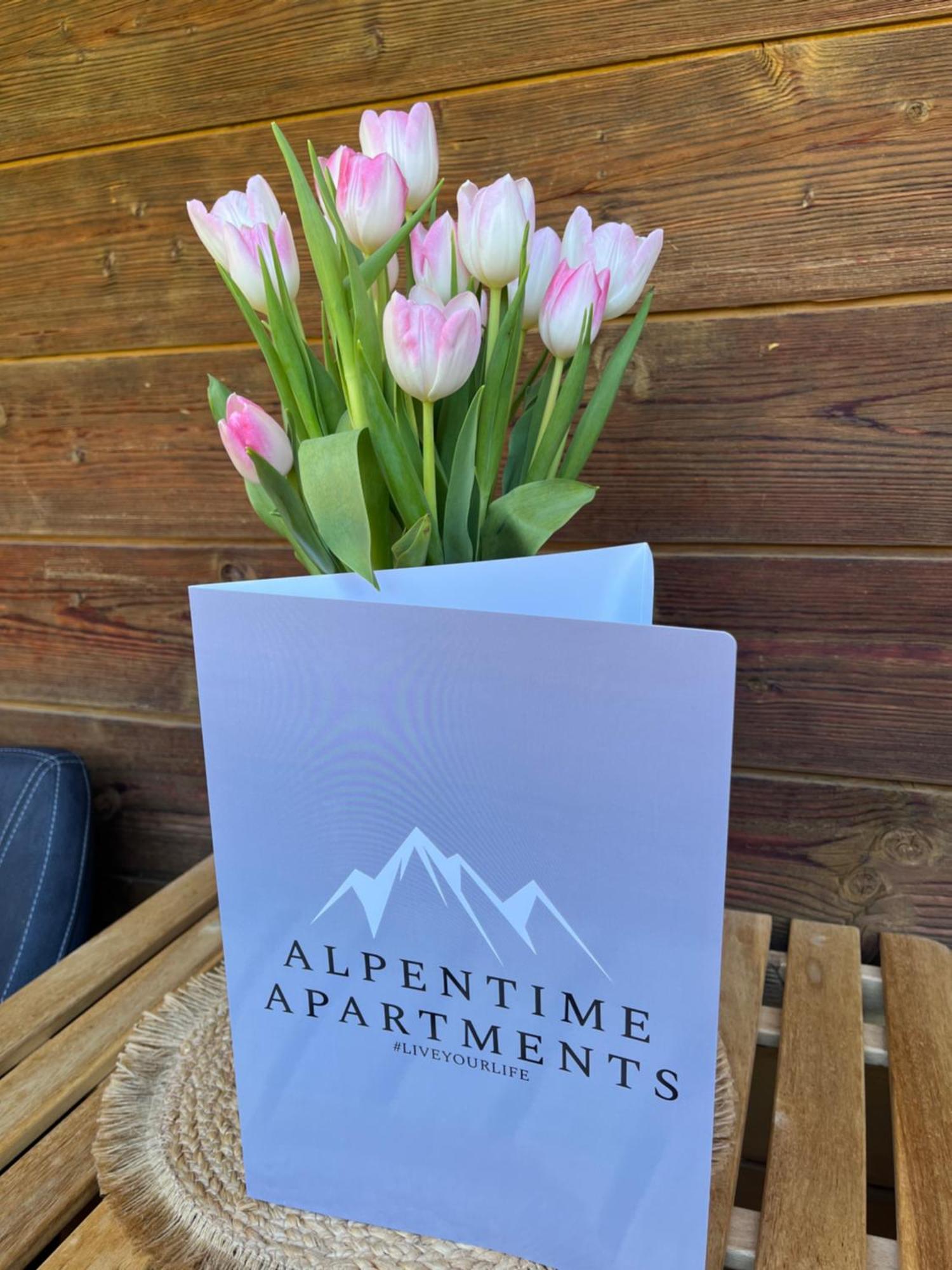 Apartment Alpentime *